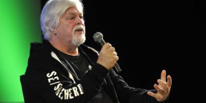 Le Japon demande au Groenland l'extradition du militant anti-chasse à la baleine Paul Watson