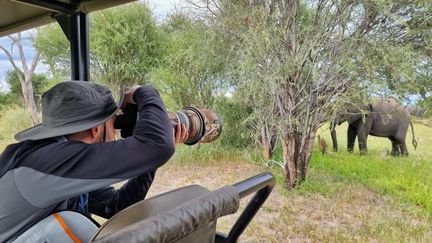 Rencontre avec le photographe animalier Martin Morel, lauréat du prestigieux concours 'Master QEP' pour ses clichés dans la savane africaine