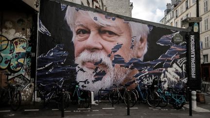 La détention de l'activiste Paul Watson au Groenland prolongée de vingt-huit jours