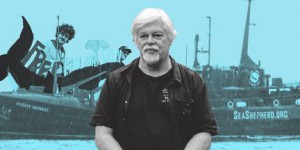 Détention de Paul Watson : comment la France se mobilise pour la libération du militant écologiste