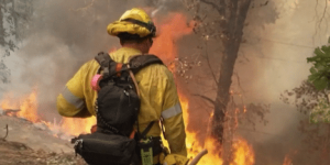 Incendies en Californie : l'état d'urgence décrété à Los Angeles, encerclée par les flammes