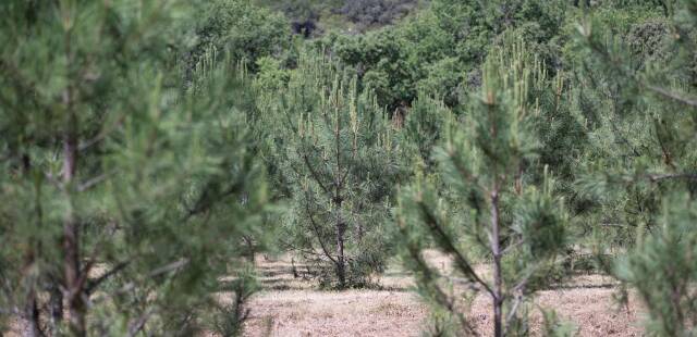 Biodiversité : un texte clé du Pacte vert entre en vigueur dans l’UE après des mois de tractations