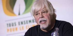 Le fondateur de Sea Shepherd, Paul Watson, a été arrêté au Groenland