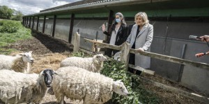 L’écologie peut-elle devenir réac ?