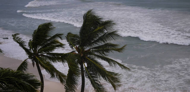 L’ouragan Béryl se renforce à nouveau et menace les Caraïbes