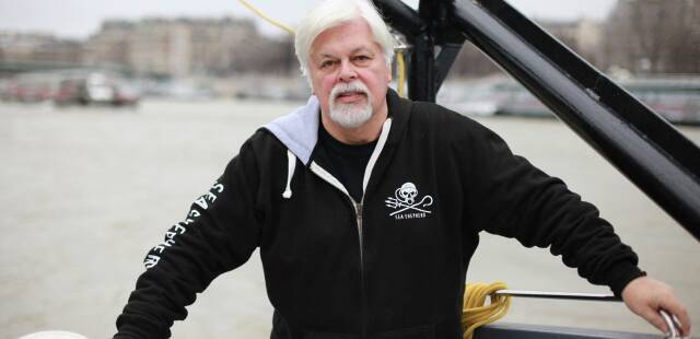 La détention du fondateur de Sea Shepherd, Paul Watson, prolongée de 28 jours au Groenland