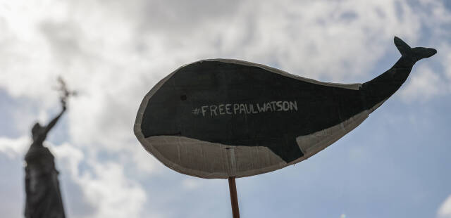 Monsieur le Président de la République, protégez Paul Watson en exigeant du Japon qu’il renonce à sa procédure d’extradition